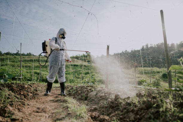 Best Mosquito Control Services  in Westport, IN