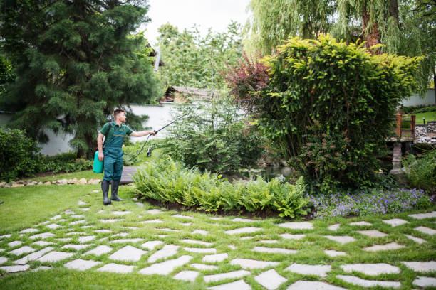 Best Wasp Removal Services  in Westport, IN