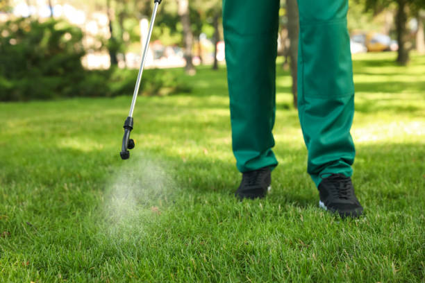 Best Flea Control Services  in Westport, IN