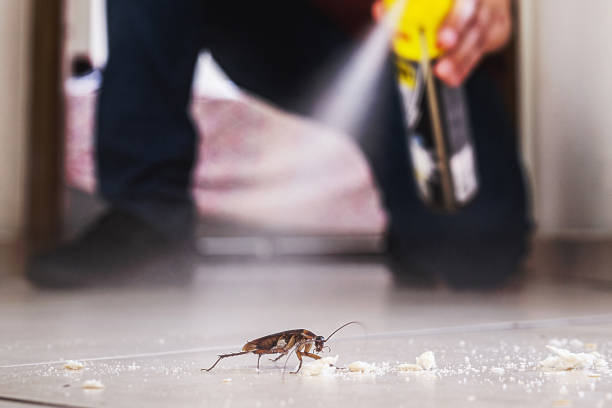 Best Commercial Pest Control Services  in Westport, IN