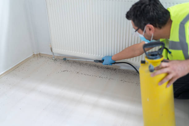 Best Best Pest Control Companies  in Westport, IN
